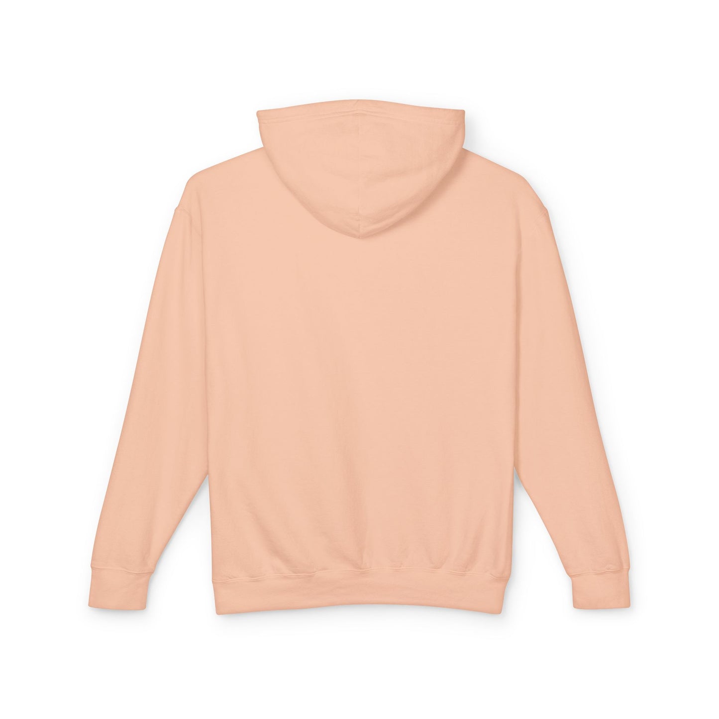 Obvious Collection Lightweight Hoodie - Funny and Ironic 'HOODIE' Design