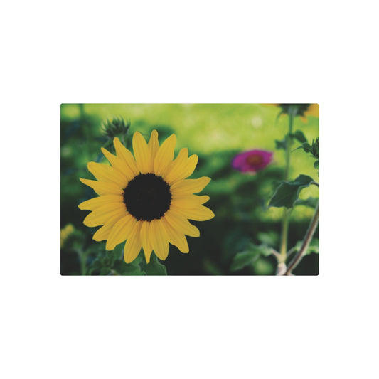 Susan Eye - Metal Art Sign – Sunflower Floral Wall Decor